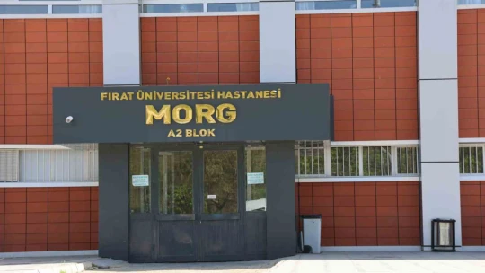 Sevgilisini defalarca bıçaklayan doktor, evinde ölü bulundu