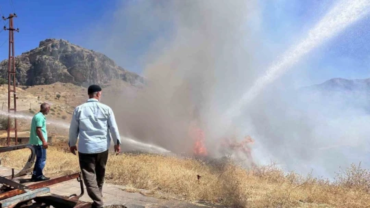 Sigara izmariti otluk alanı tutuşturdu