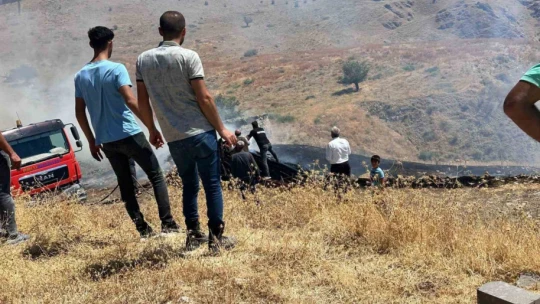 Sigara izmariti otluk alanı tutuşturdu