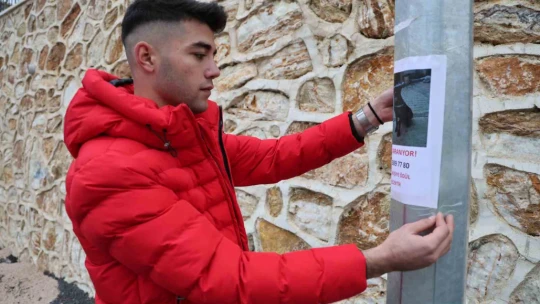 Sokak sokak gezerek köpeğini arıyor, bulana ödül verecek