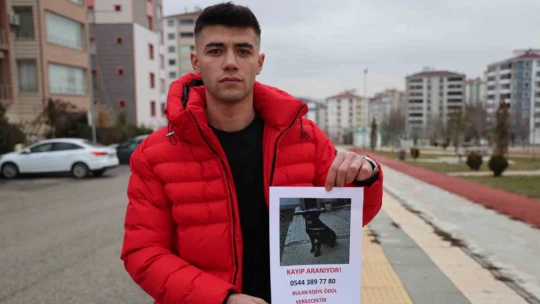 Sokak sokak gezerek köpeğini arıyor, bulana ödül verecek