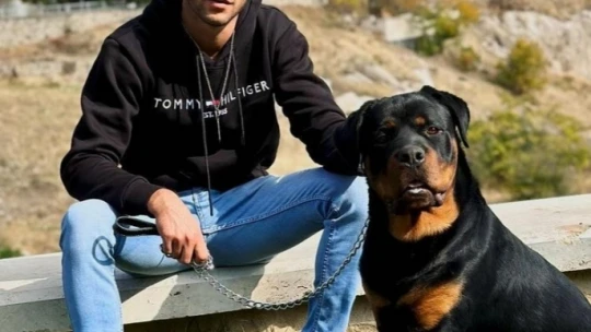 Sokak sokak gezerek köpeğini arıyor, bulana ödül verecek