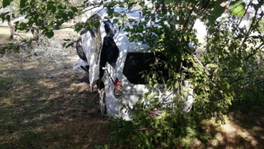 Sürücü kontrolünü kaybetti, ağacı kıran araç asılı kaldı