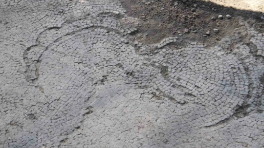 Tarlada 84 metrekarelik alanda keşif: Önce Roma dönemine ait mozaik, ardından duvarlar ortaya çıktı