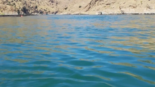 Tekneden düşüp suda kaybolan kadın mühendisten acı haber geldi