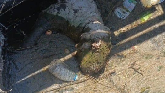 Temizleme çalışması 4 gün sürdü