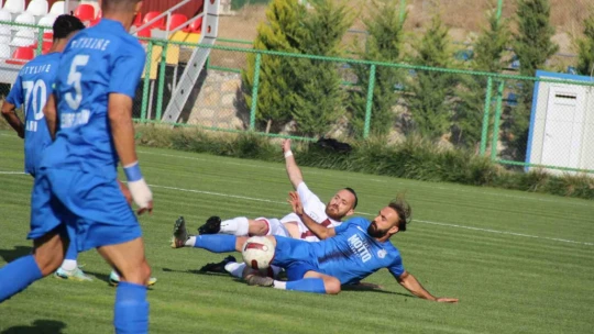 TFF 3. Lig: 23 Elazığ FK: 1 - A. Alanya Kestelspor: 2