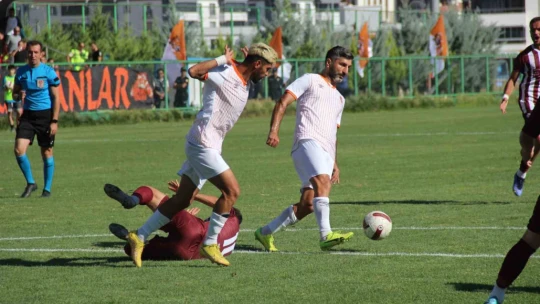 TFF 3. Lig: 23 Elazığ FK: 1 - Adana 1954 FK: 5