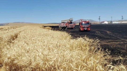 Trafodan çıkan kıvılcım 70 dönümlük ekili alanı kül etti