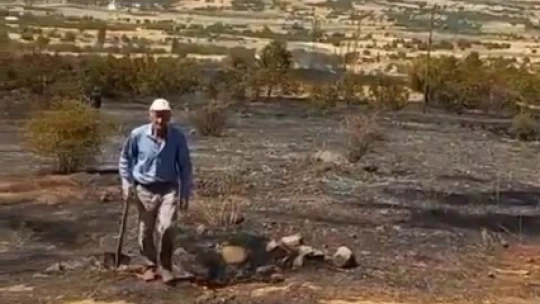 Trafodan çıkan kıvılcım otluk alanı tutuşturdu