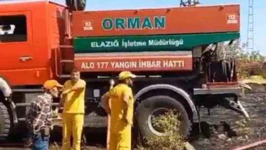 Trafodan çıkan kıvılcım otluk alanı tutuşturdu