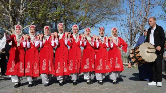 Turistik Diyarbakır Ekspresi Elazığ'da