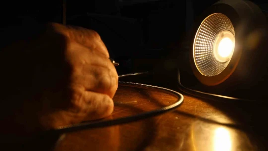 Türk bilim adamı, güneş ışığına ihtiyaç duymayan tarım cihazı geliştirdi