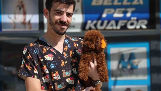 Bu kuaförde sadece köpekler tıraş oluyor