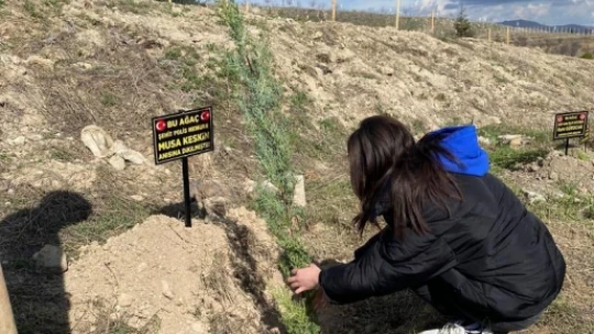 Üniversite öğrencileri şehitler anısına fidan dikti