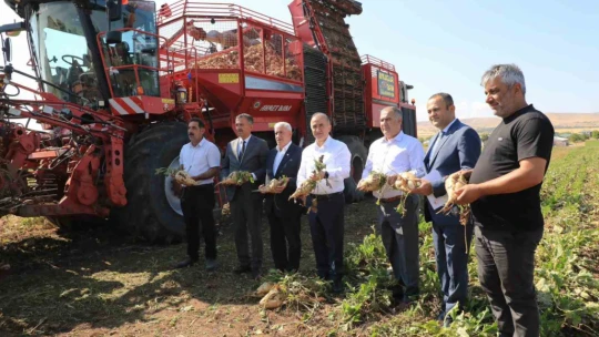 Vali pancar hasat makinesi ile hasat yaptı