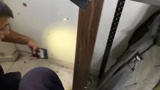 Yavru kedi mahsur kaldı, annesi kurtarılmasını bekledi
