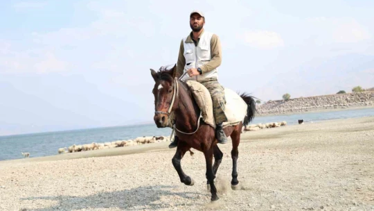Yaylacıların sahil kenarındaki molası belgeselleri aratmadı