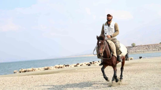 Yaylacıların sahil kenarındaki molası belgeselleri aratmadı