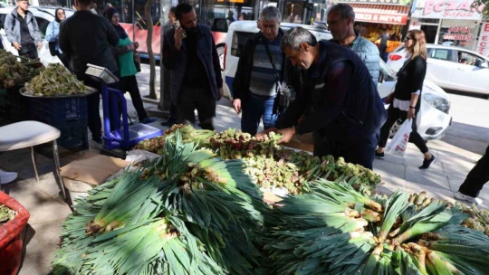 Yılda 2 ay hasadı yapılan 'çiriş otu' tezgahtaki yerini aldı