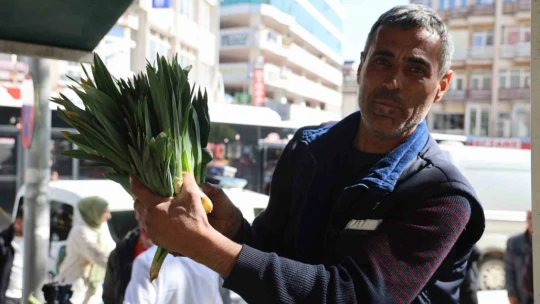 Yılda 2 ay hasadı yapılan 'çiriş otu' tezgahtaki yerini aldı