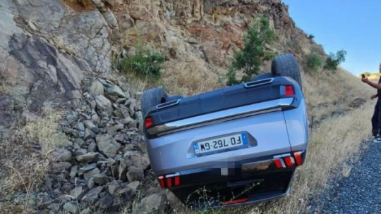 Yola çıkan yılanı ezmemek için direksiyonu kırdı, aracı takla attı