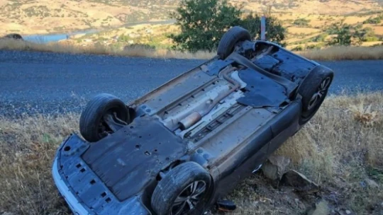 Yola çıkan yılanı ezmemek için direksiyonu kırdı, aracı takla attı