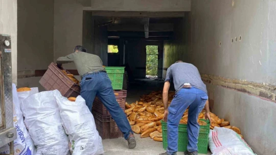 Yüzlerce ekmek kullanılmayan binaya atılmıştı, ekipler inceleme başlattı