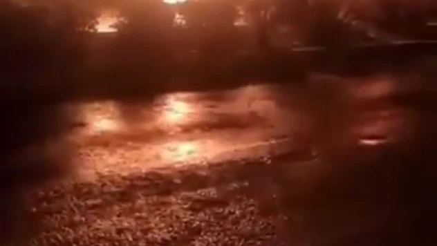 Park halindeki pikap alev alev yandı