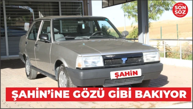 ŞAHİN'İNE GÖZÜ GİBİ BAKIYOR