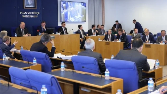 Türkiye Varlık Fonu denetimi TBMM komisyonunda