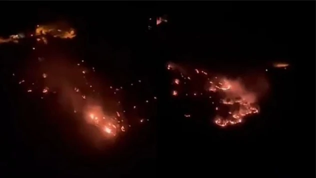 Gürsel Erol: Sivrice'deki yangın ormanlık alanları tehdit ediyor