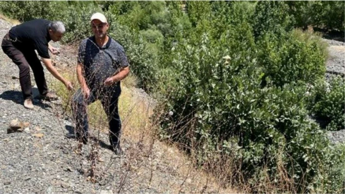 Elazığ'da biyoçeşitlilik izleme çalışmaları sürüyor

