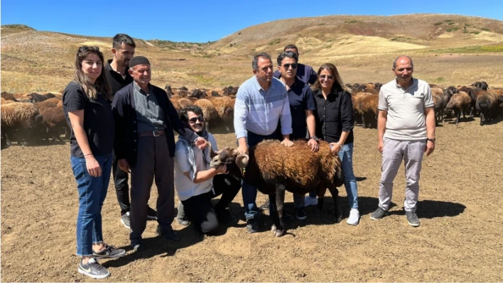 Elazığ'da 187 yetiştiriciye bugüne kadar 18 milyon 638 bin lira destek verildi

