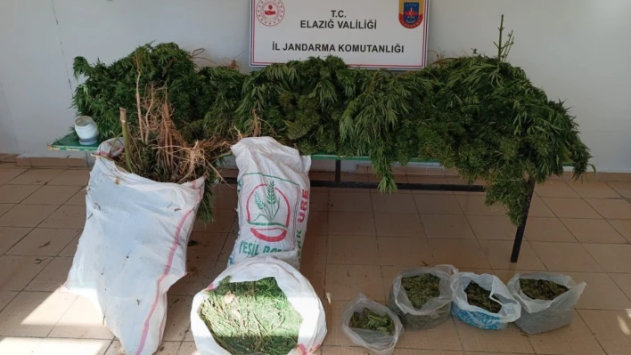 Elazığ'da 20 kilo esrar ele geçirildi: 1 gözaltı

