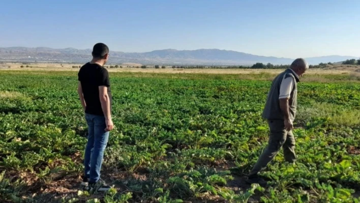 Elazığ'da kaçak avcılığın önlenmesi için denetimler sürüyor

