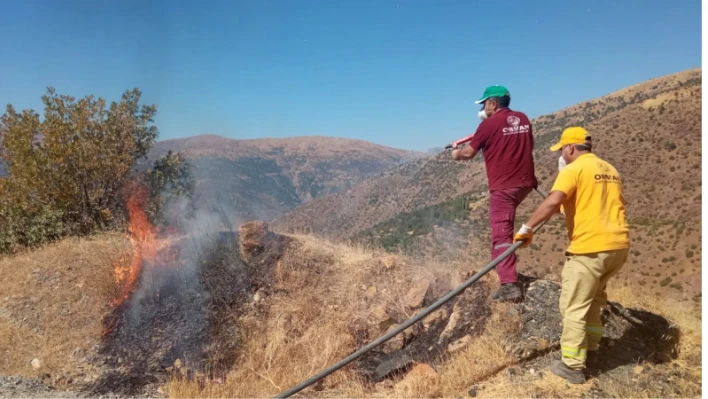 Elazığ'daki orman yangını söndürüldü

