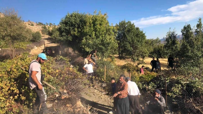 Elazığ'da ağaçlık alanda yangın: Vatandaşlar seferber oldu

