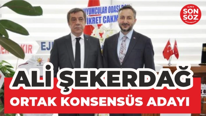 ŞEKERDAĞ ORTAK KONSENSÜS ADAYI