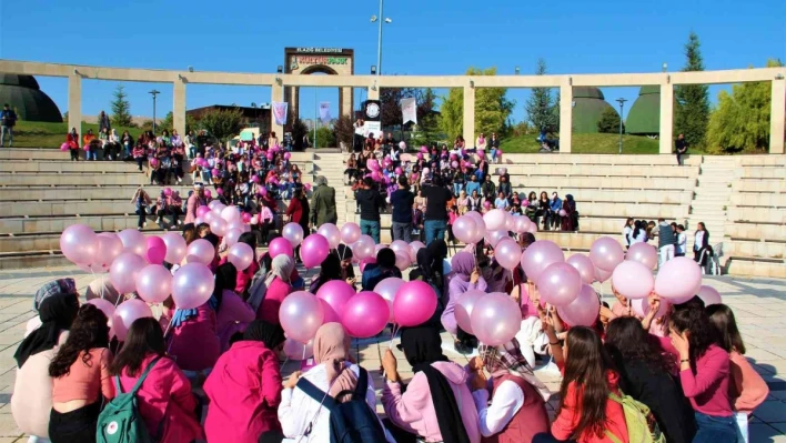 Elazığ'da 'Meme Kanseri Farkındalık' yürüyüşü

