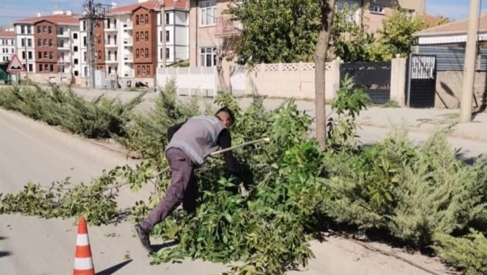 Elazığ Belediyesinden ağaç budama çalışması

