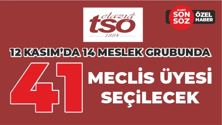 41 MECLİS ÜYESİ SEÇİLECEK