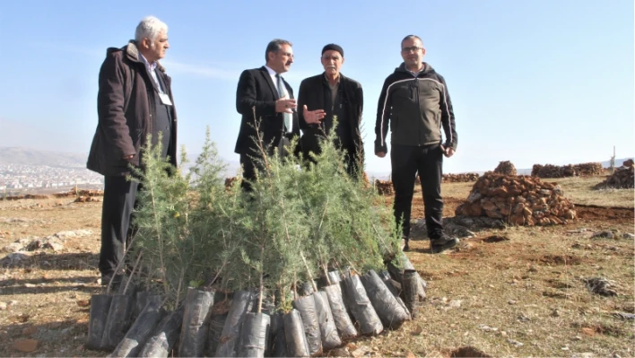 Taşlık araziyi ormana çevirmişti: Yetkililer teşekkür edip fidan desteğinde bulundu

