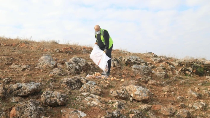 Elazığ Belediyesi, sokak ve yaban hayvanları için yem bıraktı

