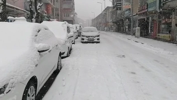 Elazığ'ın ilçelerinde kar yağışı etkili oldu

