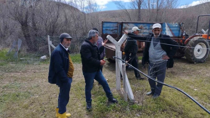 Elazığ'da çiftçilere bağ budama eğitimi

