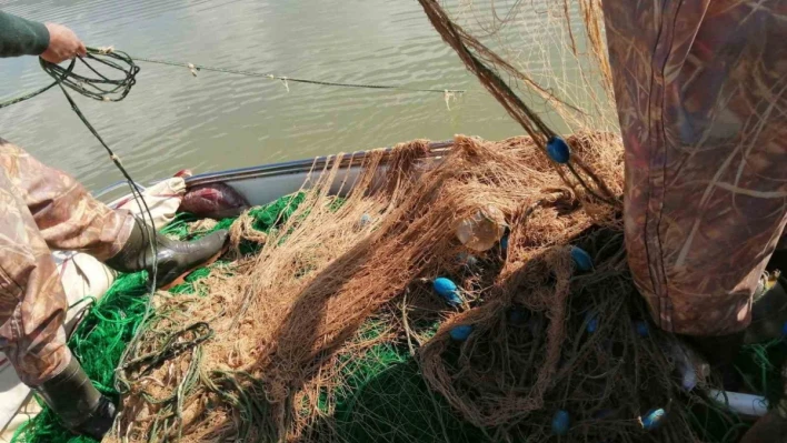 Elazığ'da kaçak avlandığı tespit edilen 100 kilo canlı balık ele geçirildi

