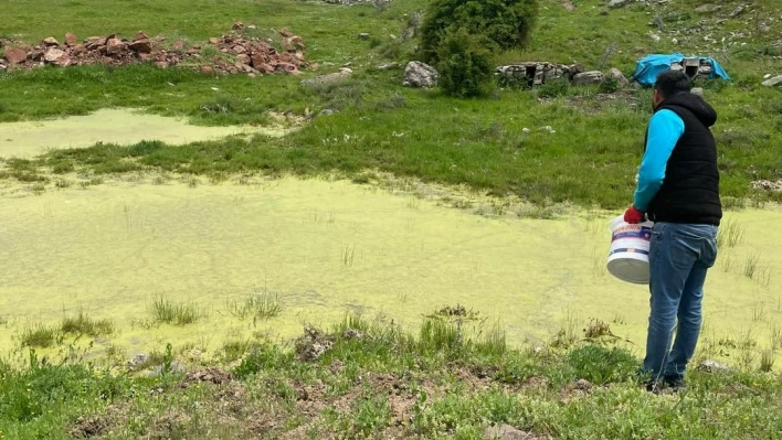 Karakoçan'da ilaçlama çalışmaları sürüyor

