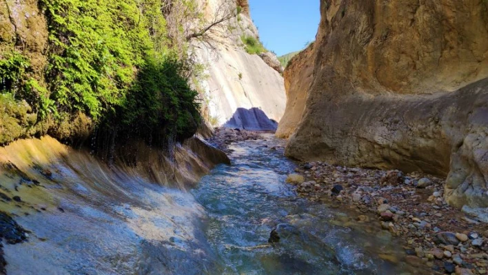 Uydudan haritaları incelerken 3 milyon yıllık kanyon keşfettiler

