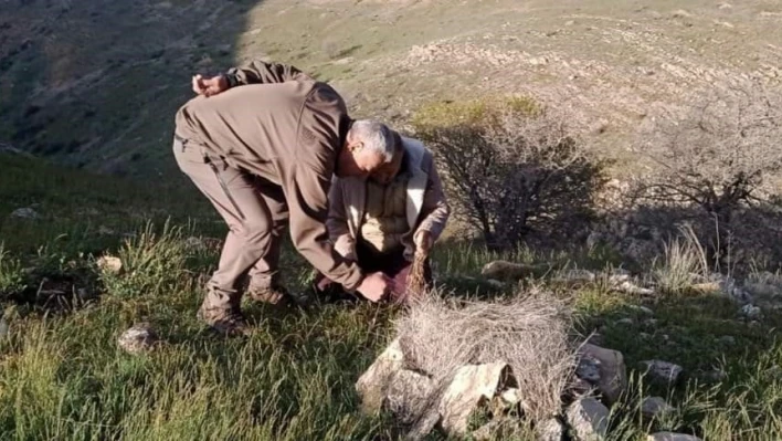 Elazığ'da yasa dışı avcılık yapan 1 kişiye idari işlem uygulandı

